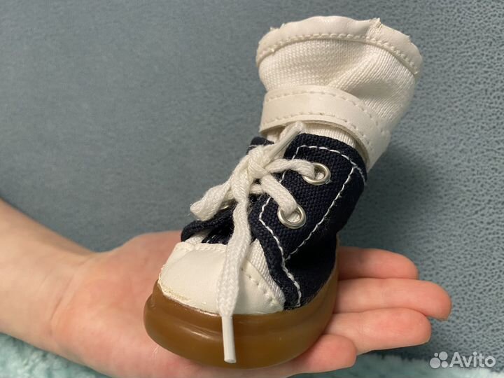 Обувь для маленьких собак