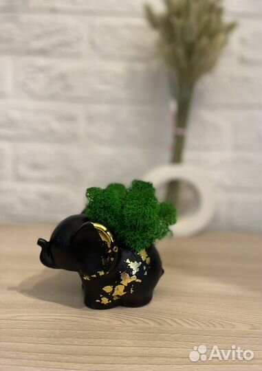 Кашпо слоник со мхом