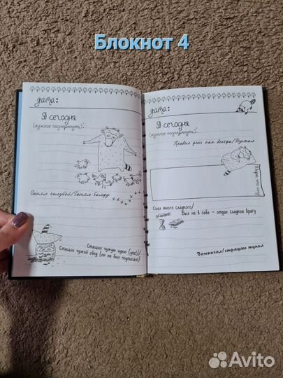 Дневник Енота интроверта