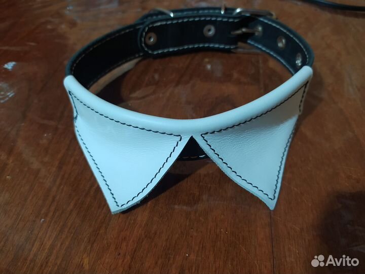 Амуниция для собак