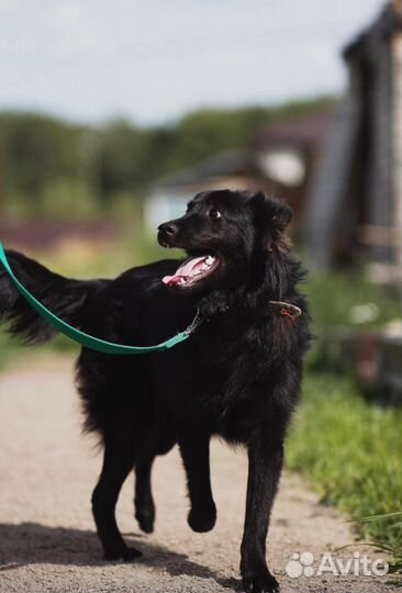 Шикарный подросток ищет семью