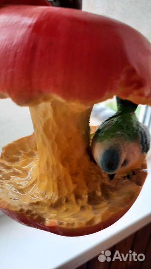 Кормушка для птиц на окно