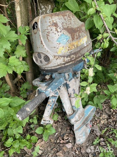 Мотор вихрь 25