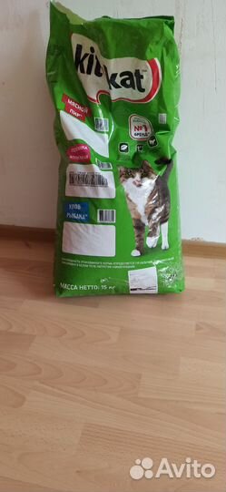 Кошачий сухой корм