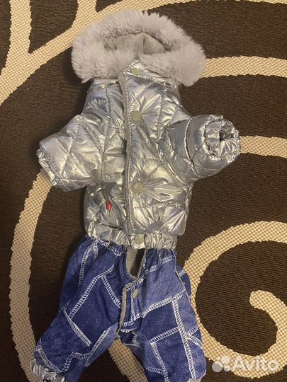 Комбинезон для маленькой собаки