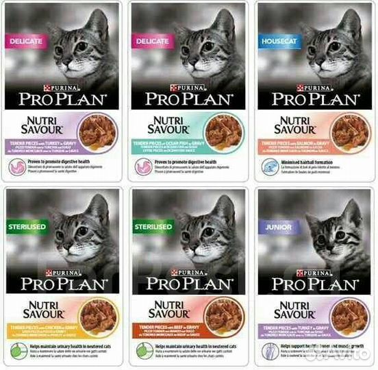 Корм для кошек