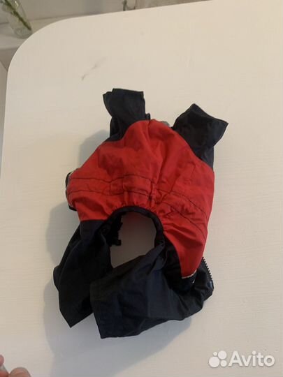 Комбинезон для маленькой собаки