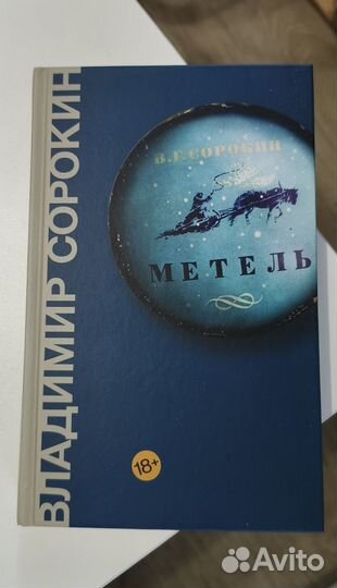 Метель Владимир Сорокин