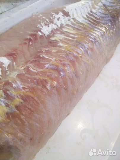 Филе судака