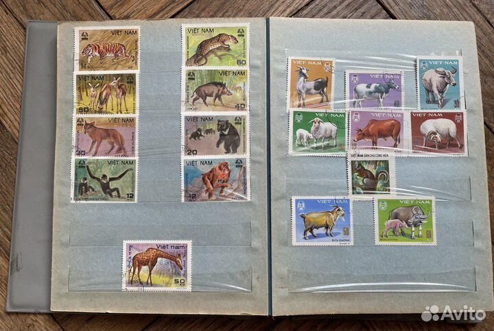 Альбом почтовых марок СССР (животные)