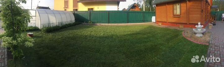 Рулонные газоны
