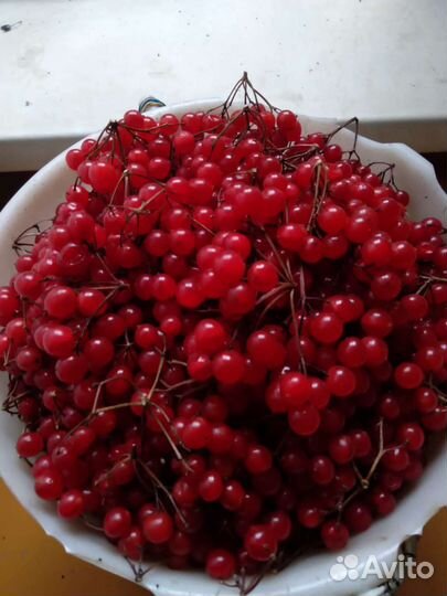 Банка ягода калина