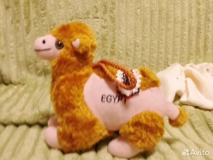 Египетский верблюд
