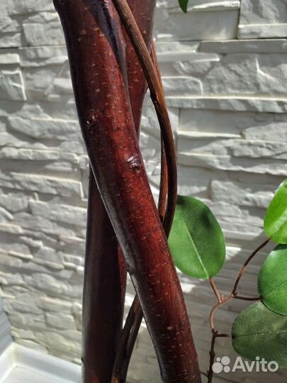 Фикус искусственное дерево