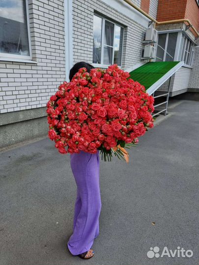 Кустовые розы