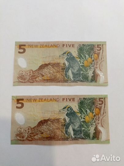 Денежные купюры