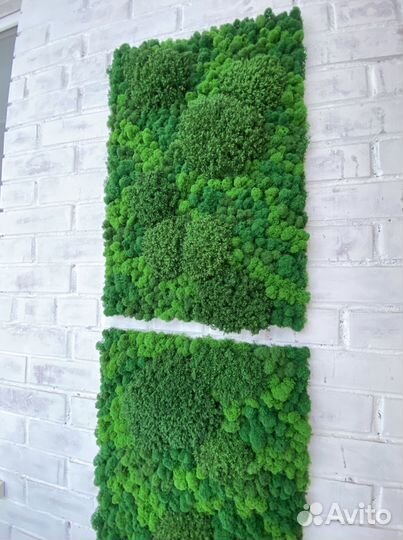 Панели из стабилизированного мха