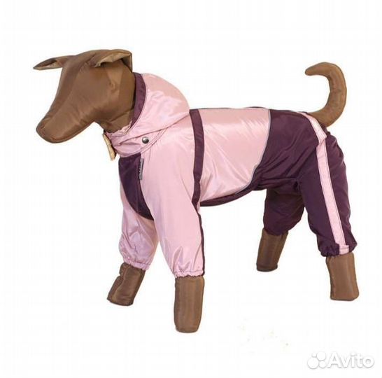 Дождевик для скотч терьера (сука)