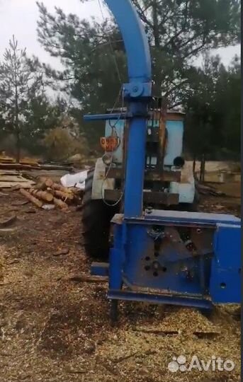 Щепоруб Германия