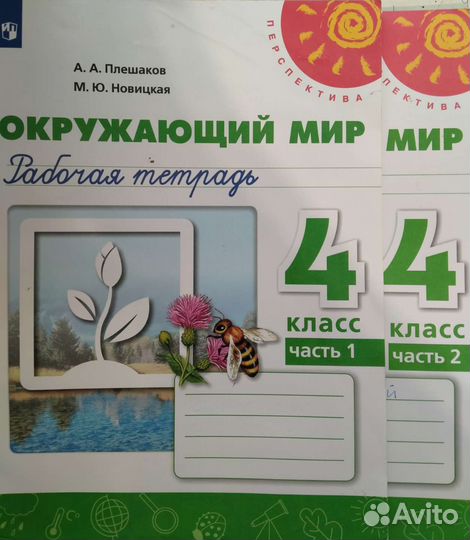 Окружающий мир 4 класс рабочая тетрадь две части