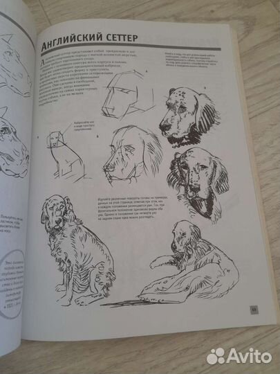 Полный курс рисования