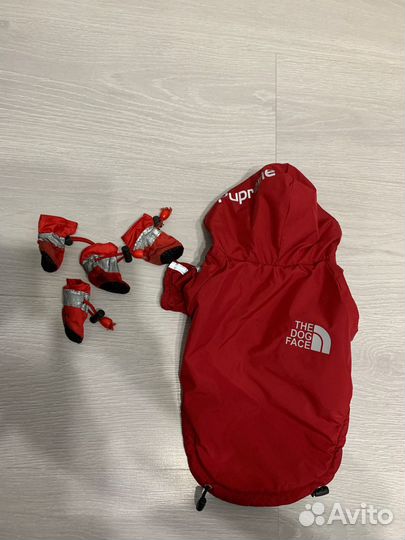 Одежда для маленьких собак