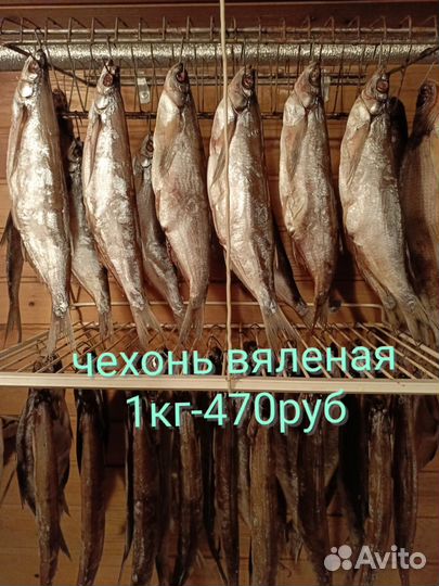 Вяленая рыба Синец