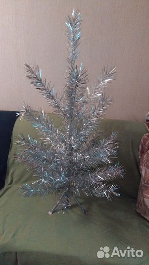 Ель серебристая СССР