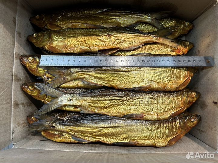 Сиг горячего-копчения