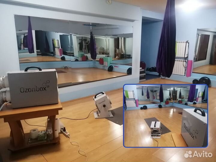 Уничтожение плесени и грибка / Дезинфекция