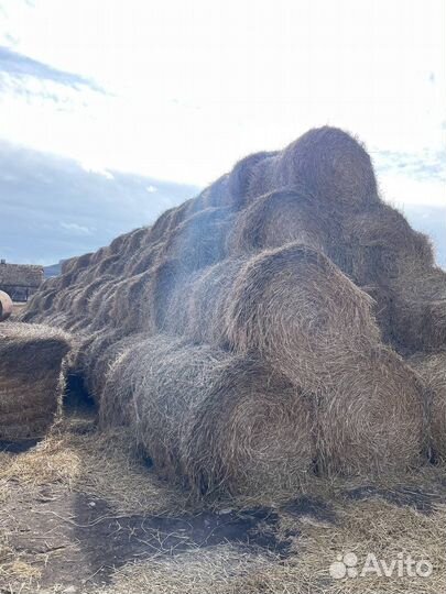 Солома, пшеничная солома