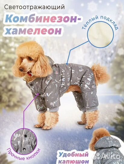 Комбинезон для собак мелких пород