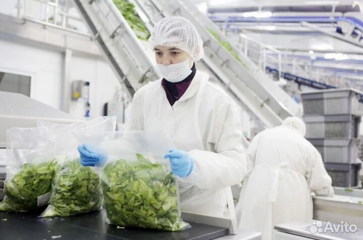 Работа вахтой. Упаковщик на производство В Елабугу