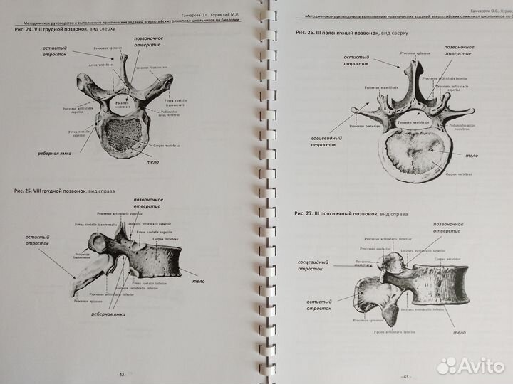 Биология. Материалы для подготовки к олимпиадам