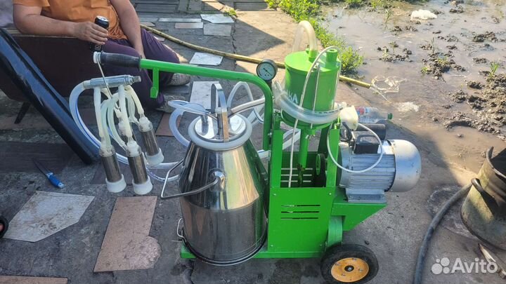 Доильный аппарат для коров