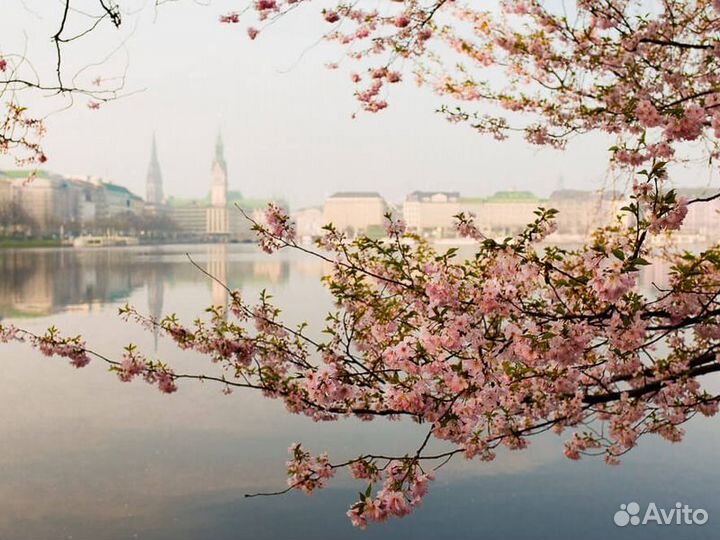 Экскурсия — Гамбург — Прогулка поэпохам Гамбурга