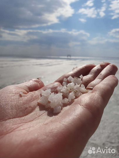 Соль (о.Бурсоль) Алтайский край