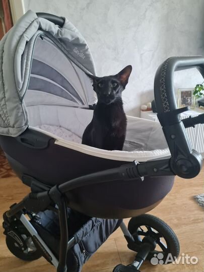 Коляска camarelo 2 в 1