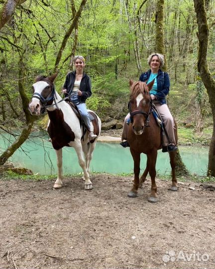 Конные прогулки