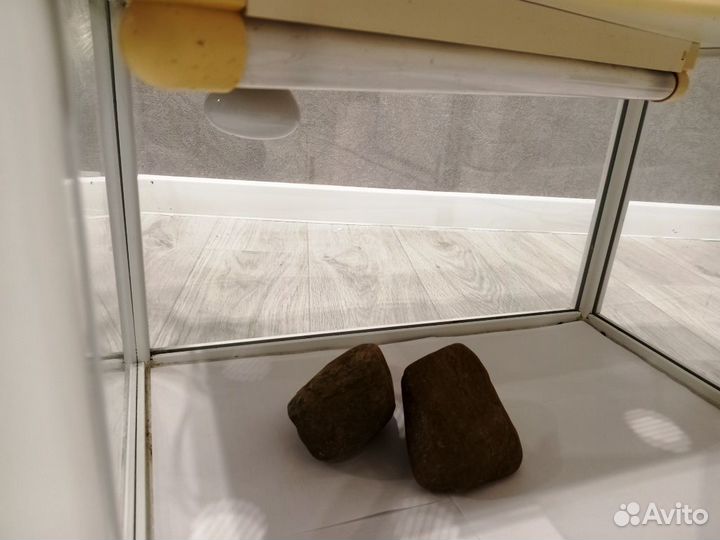 Продам террариум