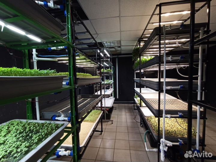 Запуск вертикальных фермБизнес Обучение