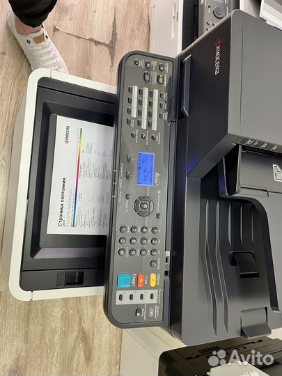 Мфу Kyocera M6030cdn