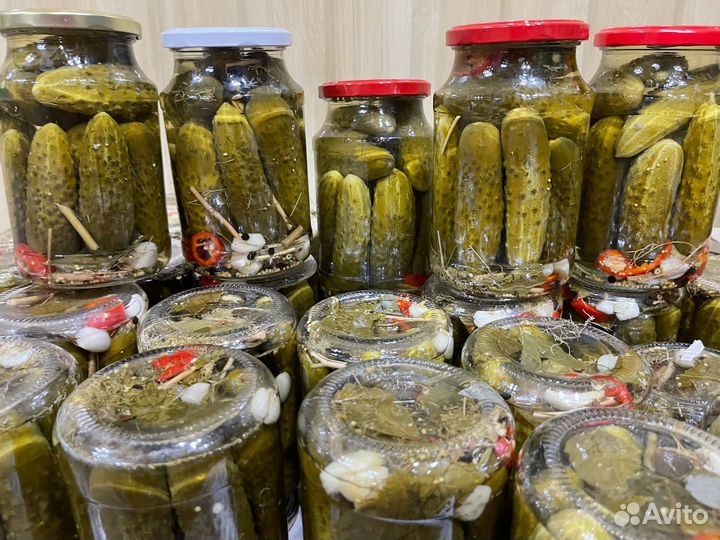 Огурцы маринованные. Оптом