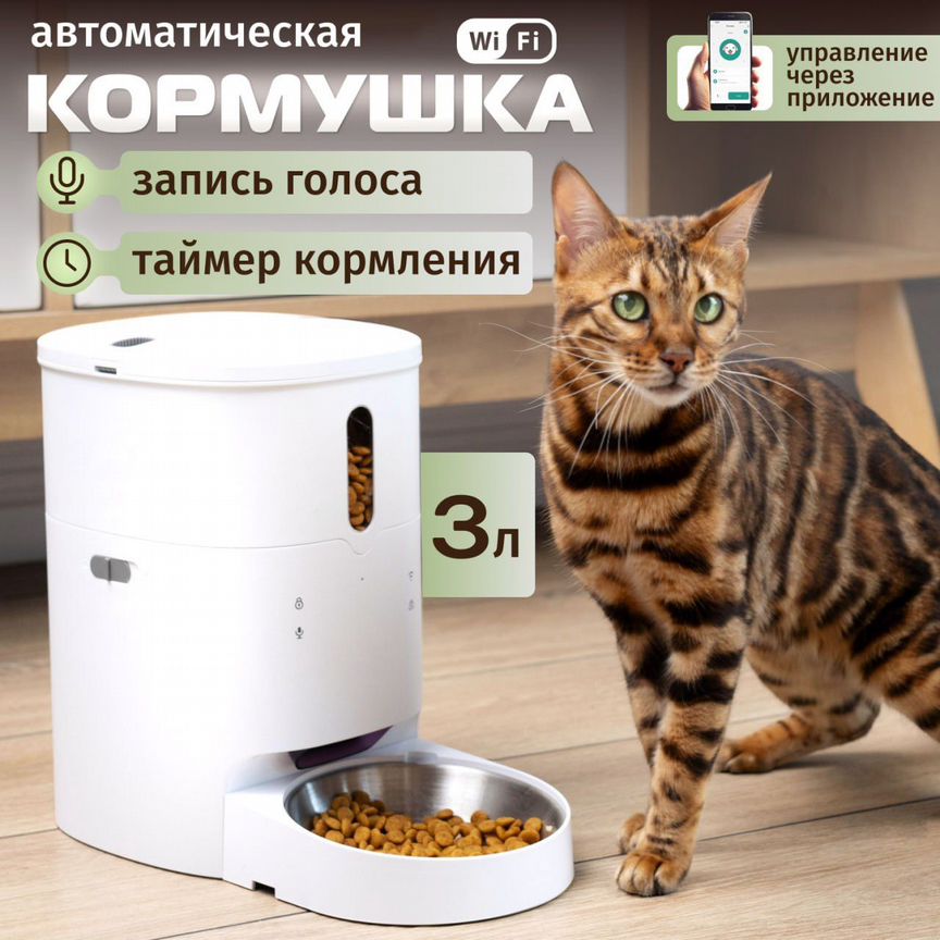 Автоматическая кормушка для кошек