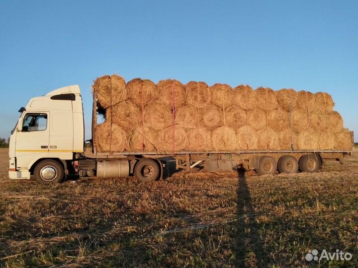 Перевозка сена, доставка, продажа