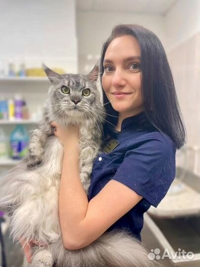 Стрижка собак и кошек / груминг салон Умка