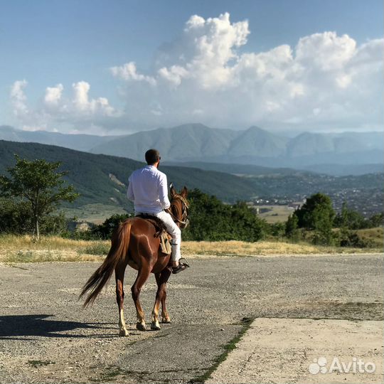 Мастер на час сантехник электрик
