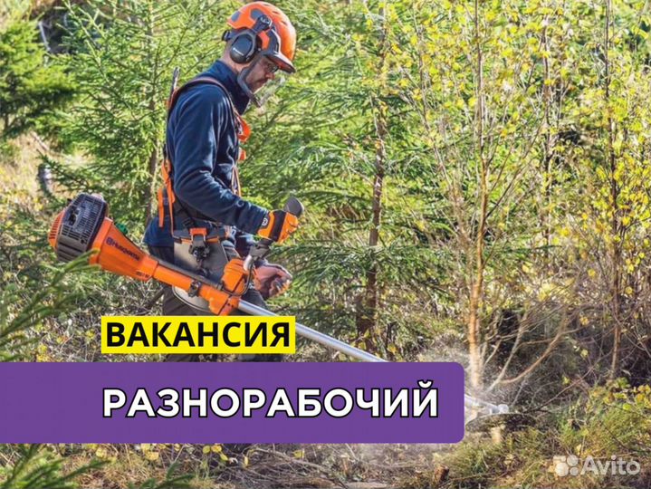 Сотрудник лесного хозяйства. Вахта