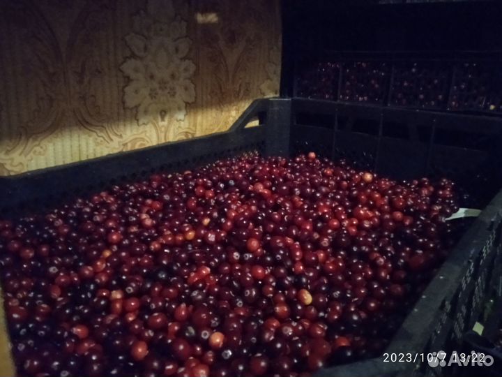 В продаже клюква