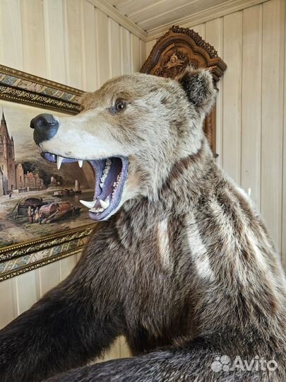 Чучело медведя имитация